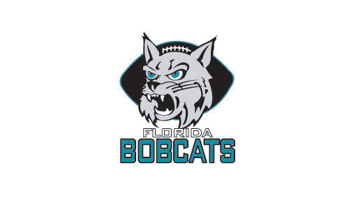 Ժɫʵϻ^ĈD鄓(chung)BOBCATS(bio)־O(sh)Ӌ(j)
